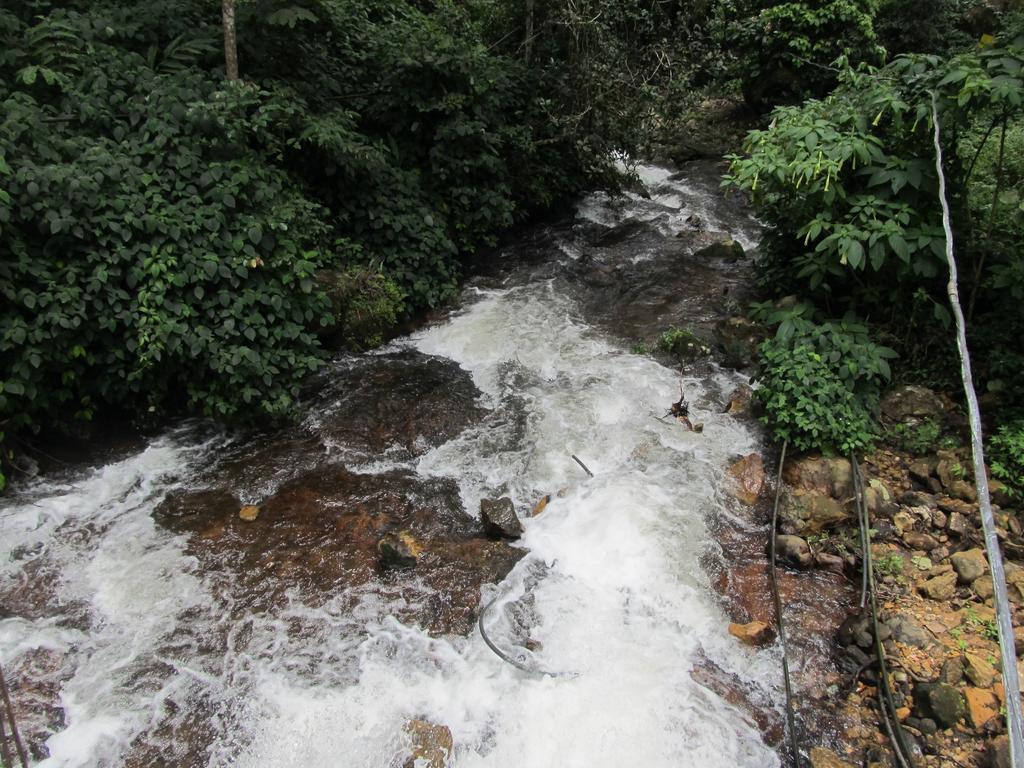 Neelakurunji Plantation Munnar Apartment Chinnakanal Exterior photo